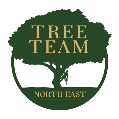 tree team logo 400